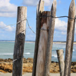 Plusieurs poteaux en bois d'une barrière au bord de la plage. Mer en arrière plan.